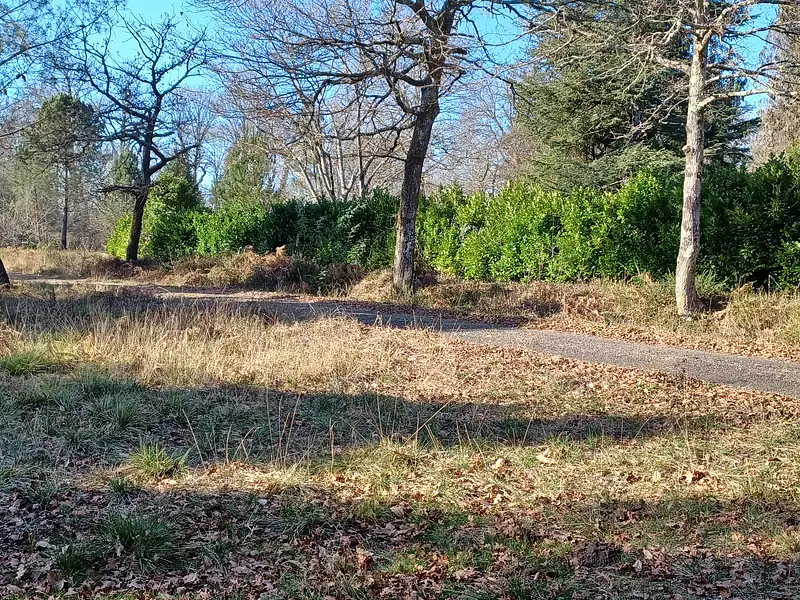 Terrain à bâtir, 425 m² - Linxe (40260)