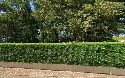 Terrain à bâtir, 1 430 m²