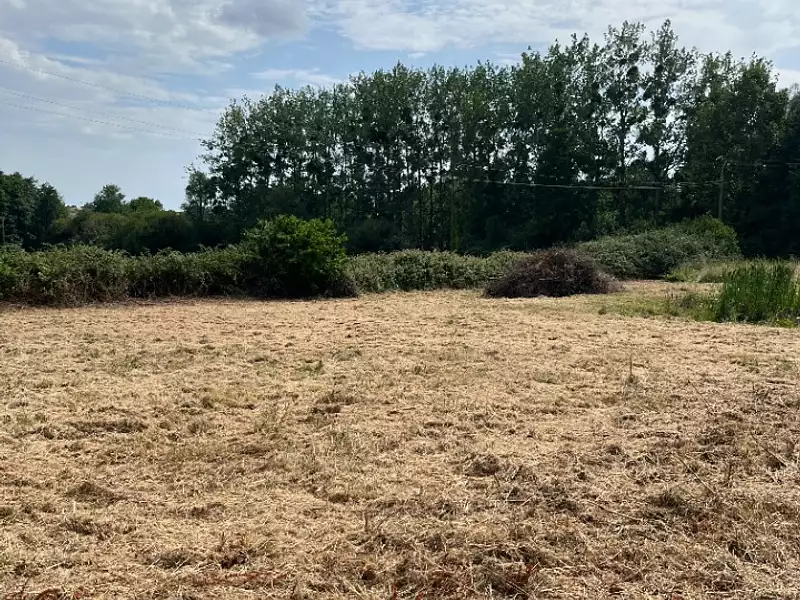 Maison neuve, 106 m² - La Milesse (72650)
