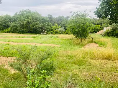 Maison neuve, 80 m²