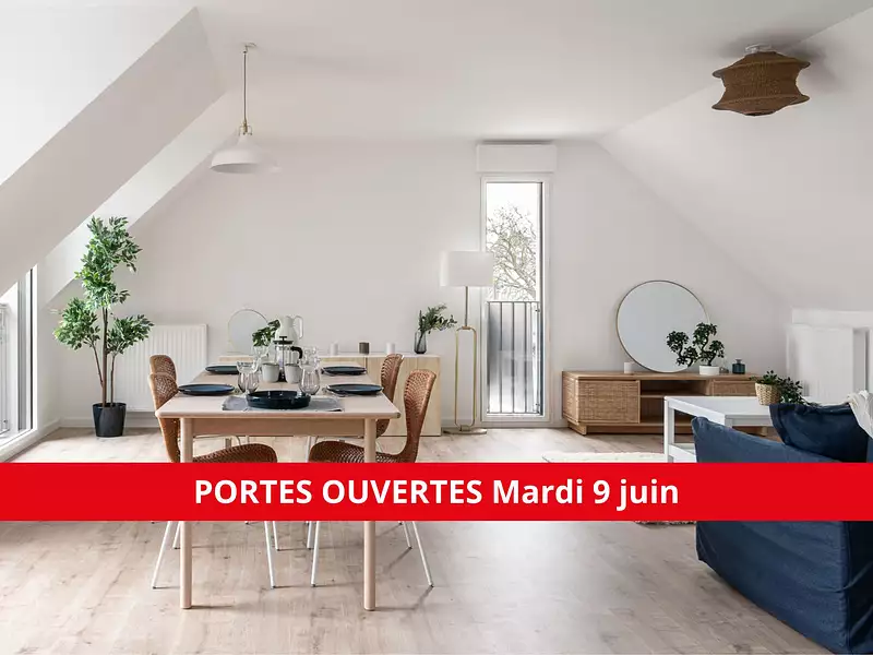 AGAPANTHE - Saint-Malo (35400)