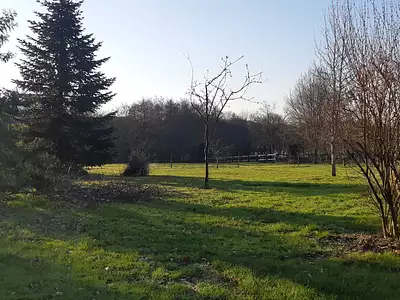 Maison neuve, 100 m²