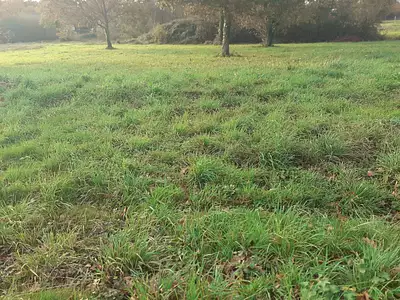 Terrain à bâtir, 702 m²
