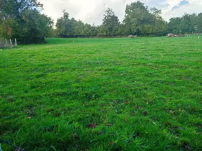 Terrain à bâtir, 800 m²