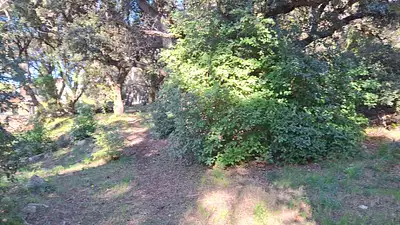 Terrain à bâtir, 455 m²