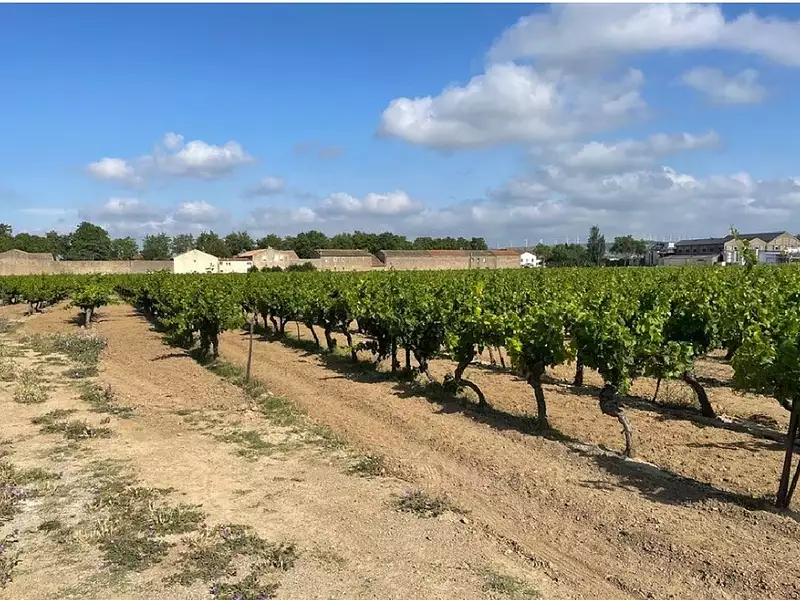 Maison neuve, 85 m² - Canet (11200)