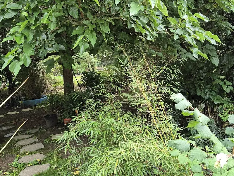 Maison neuve, 86 m² - Rozay-en-Brie (77540)