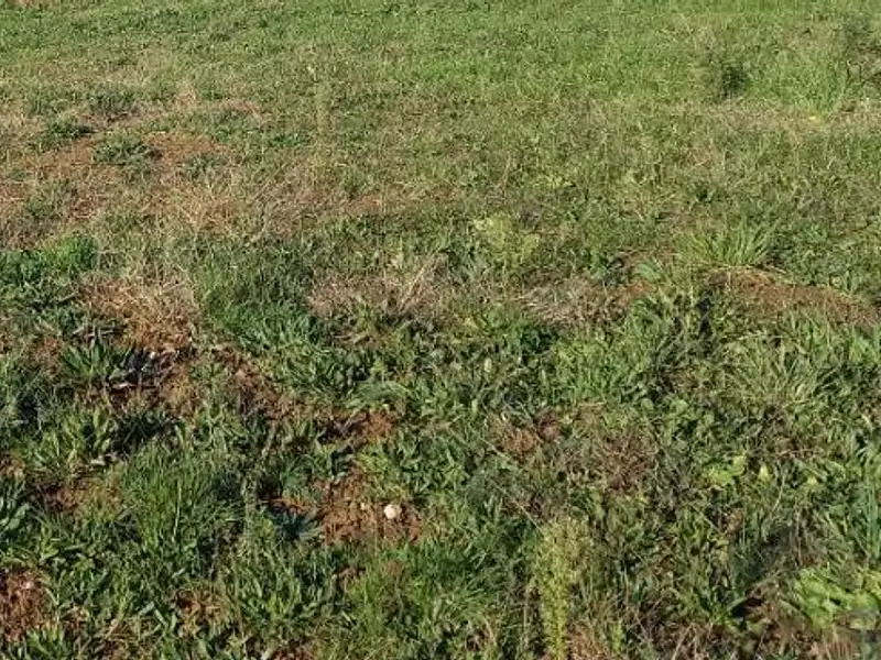 Terrain à bâtir, 335 m² - La Plaine-sur-Mer (44770)