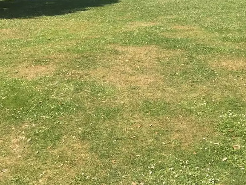 Terrain à bâtir, 640 m² - La Plaine (49360)