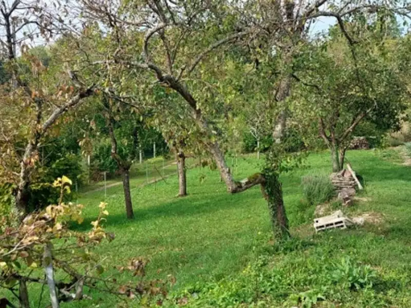 Maison neuve, 90 m² - La Grande-Paroisse (77130)