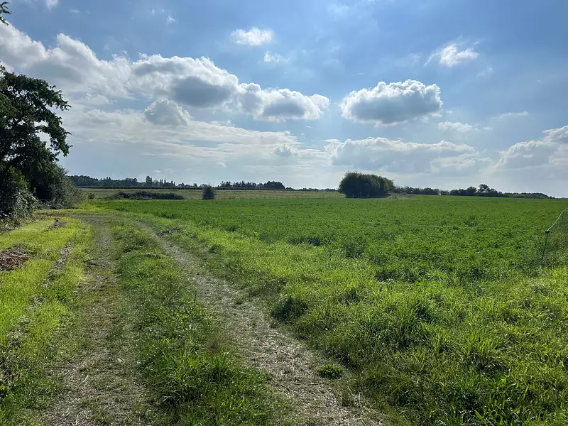 Maison neuve, 91 m² - Chavagnes (49380)