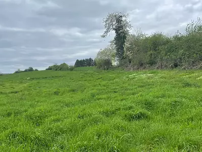 Terrain à bâtir, 654 m²