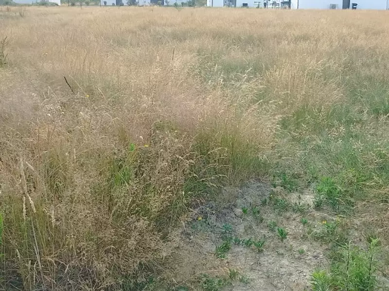 Terrain à bâtir, 503 m² - Olonne-sur-Mer (85340)