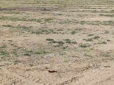 Terrain à bâtir, 208 m²