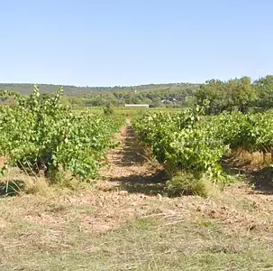 Terrain à bâtir, 500 m²