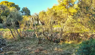 Maison neuve, 90 m²