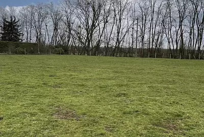 Maison neuve, 90 m²