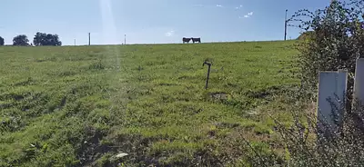 Terrain à bâtir, 1 036 m²