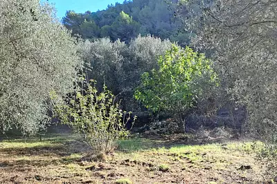 Terrain à bâtir, 600 m²