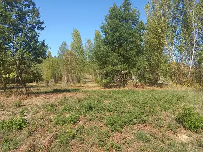 Maison neuve, 120 m²