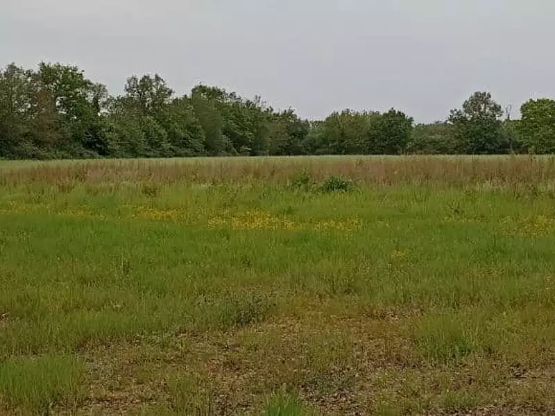 Maison neuve, 80 m² - Sainte-Foy (85150)