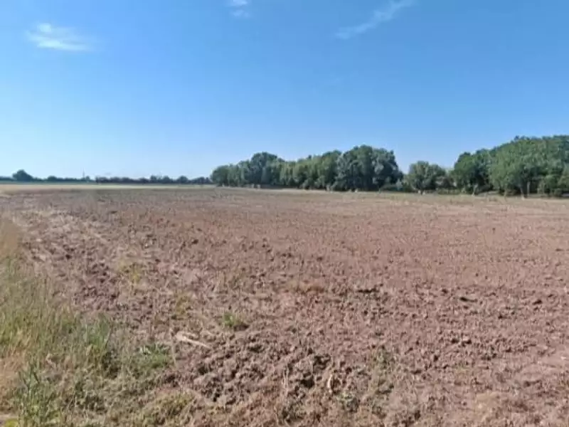 Terrain à bâtir, 1 193 m² - Chemilly-sur-Yonne (89250)