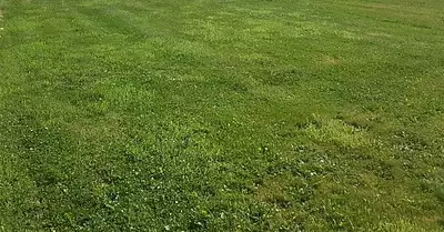 Terrain à bâtir, 1 220 m²