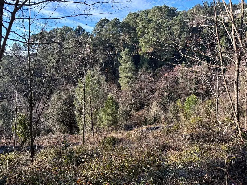 Terrain à bâtir, 4 000 m² - Joyeuse (07260)