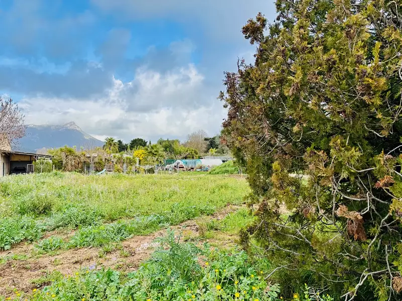 Terrain à bâtir, 730 m² - Le Pradet (83220)