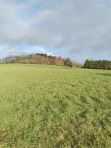 Maison neuve, 50 m²