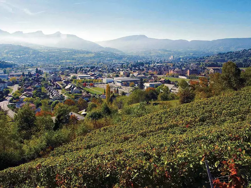 Nouveau à Chambéry ! - Chambéry (73000)