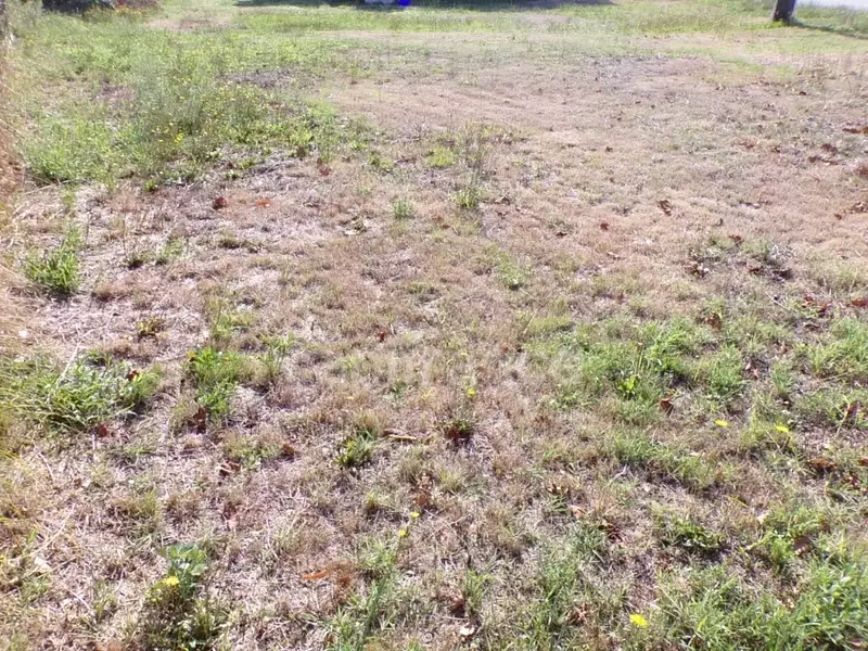 Terrain à bâtir, 730 m² - Le Teich (33470)