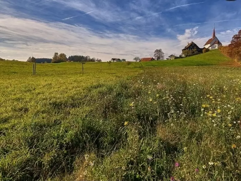 Terrain à bâtir, 595 m² - La Chaize-le-Vicomte (85310)
