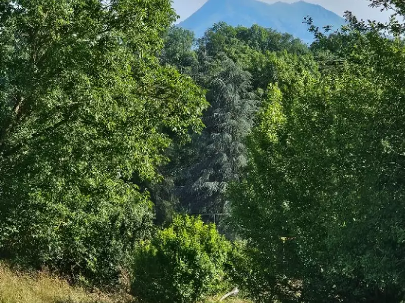 Terrain à bâtir, 1 059 m² - Pointis-Inard (31800)