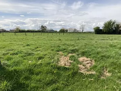 Maison neuve, 100 m²