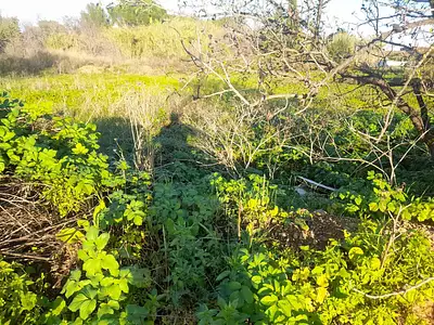 Terrain à bâtir, 640 m²