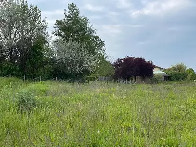 Maison neuve, 90 m²