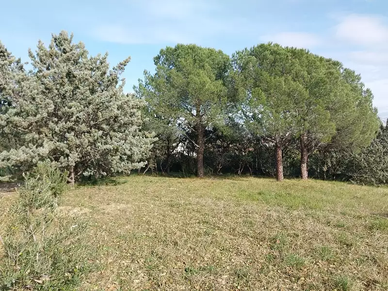 Terrain à bâtir, 400 m² - Roquebrune-sur-Argens (83520)
