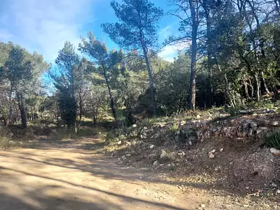 Terrain à bâtir, 964 m²