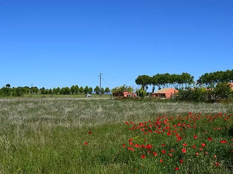 Terrain à bâtir, 278 m² - Maraussan (34370)
