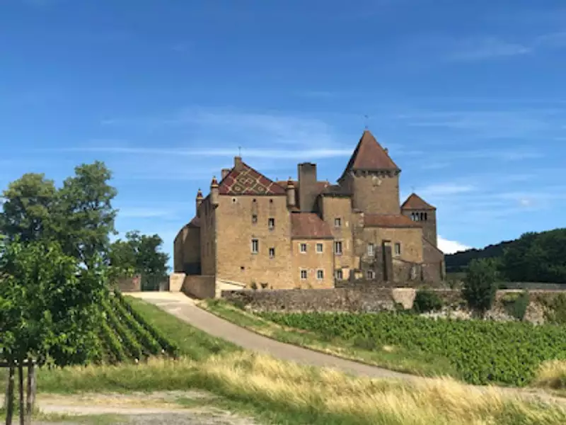 Terrain à bâtir, 686 m² - Pierreclos (71960)