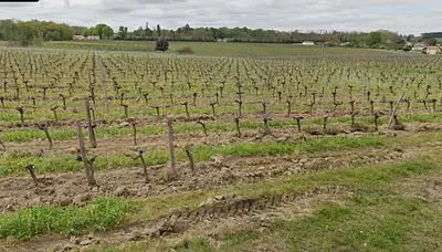 Maison neuve, 65 m²