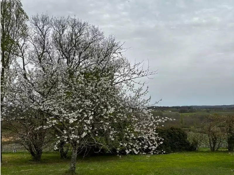 Maison neuve, 107 m² - Prats-de-Carlux (24370)