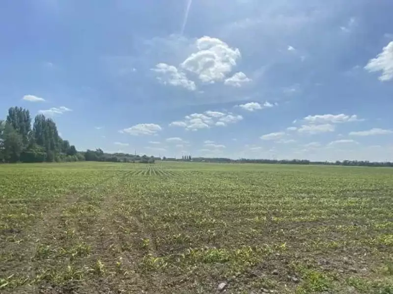 Terrain à bâtir, 555 m² - Phalempin (59133)