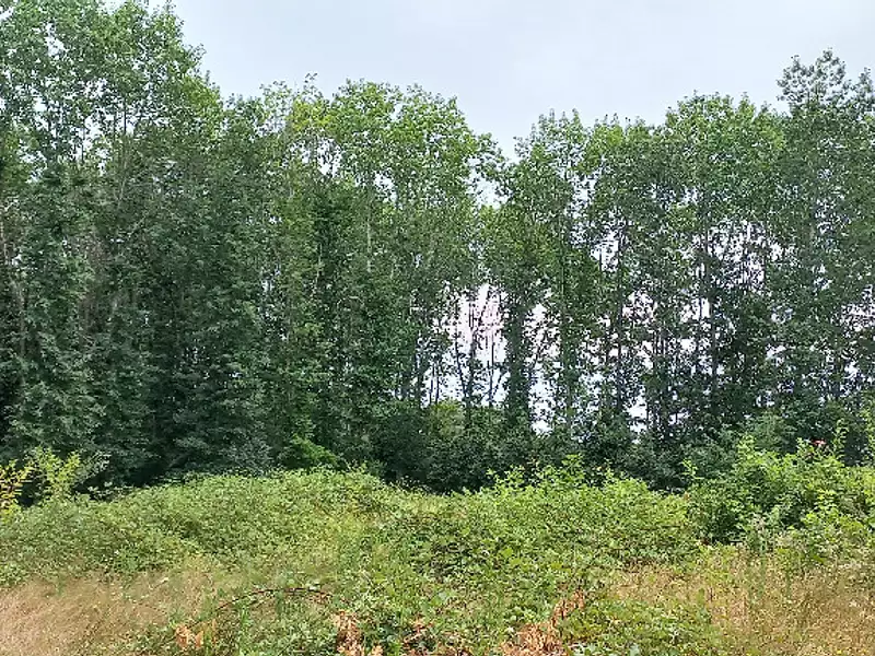 Terrain à bâtir, 2 450 m² - Ménesplet (24700)