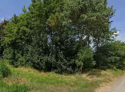 Maison neuve, 130 m²