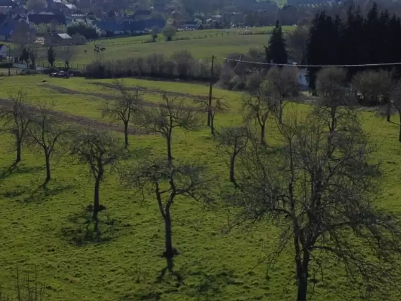 Maison neuve, 88 m² - Camembert (61120)