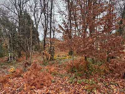 Maison neuve, 80 m²