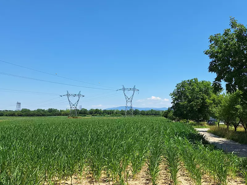Maison neuve, 181 m² - Bartenheim (68870)