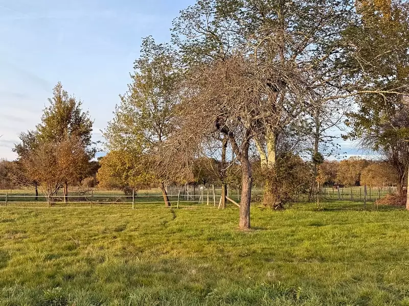 Terrain à bâtir, 800 m² - Prigonrieux (24130)